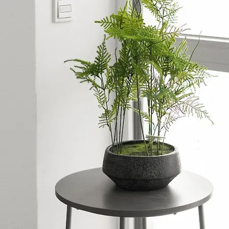 Apartment Lit Living Deluxe Woerth - Parking - Box Spring - Bbq - Balcony