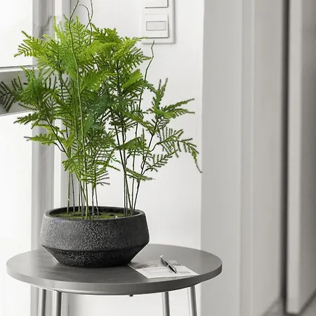 Apartment Lit Living Deluxe Woerth - Parking - Box Spring - Bbq - Balcony *