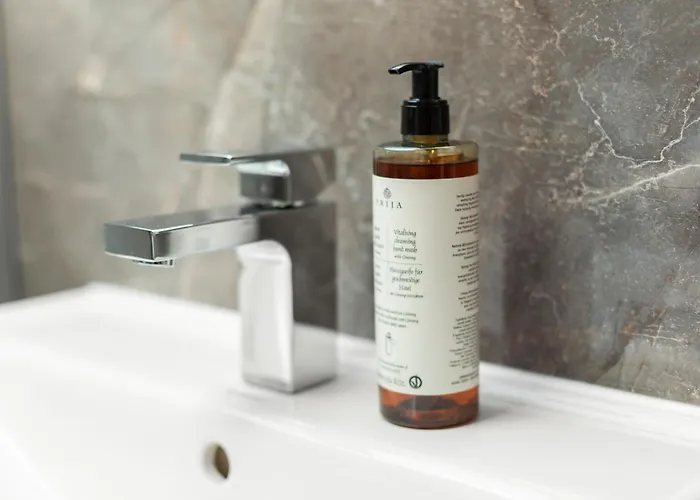 Lit Living Deluxe Woerth - Parking - Box Spring - Bbq - Balcony * וורת אם ריין