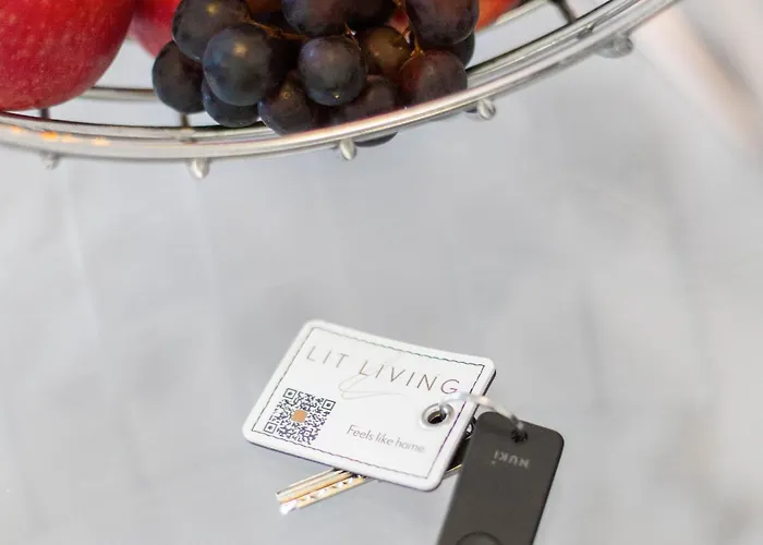 Lit Living Deluxe Woerth - Parking - Box Spring - Bbq - Balcony * Worth am Rhein